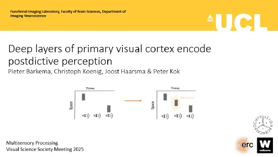 Layer-specific fMRI of Postdictive Perception at 7T